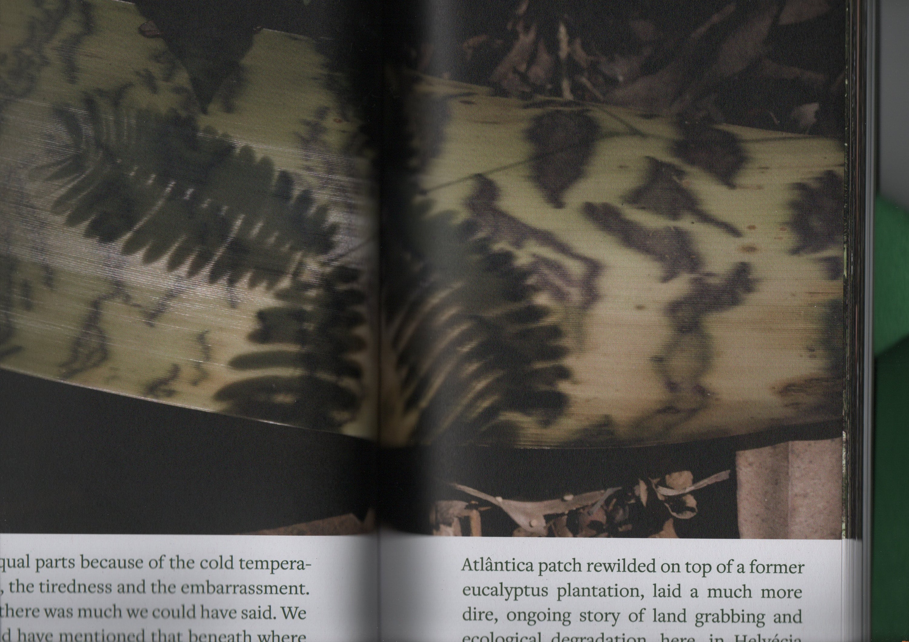 Export Quality Poetry