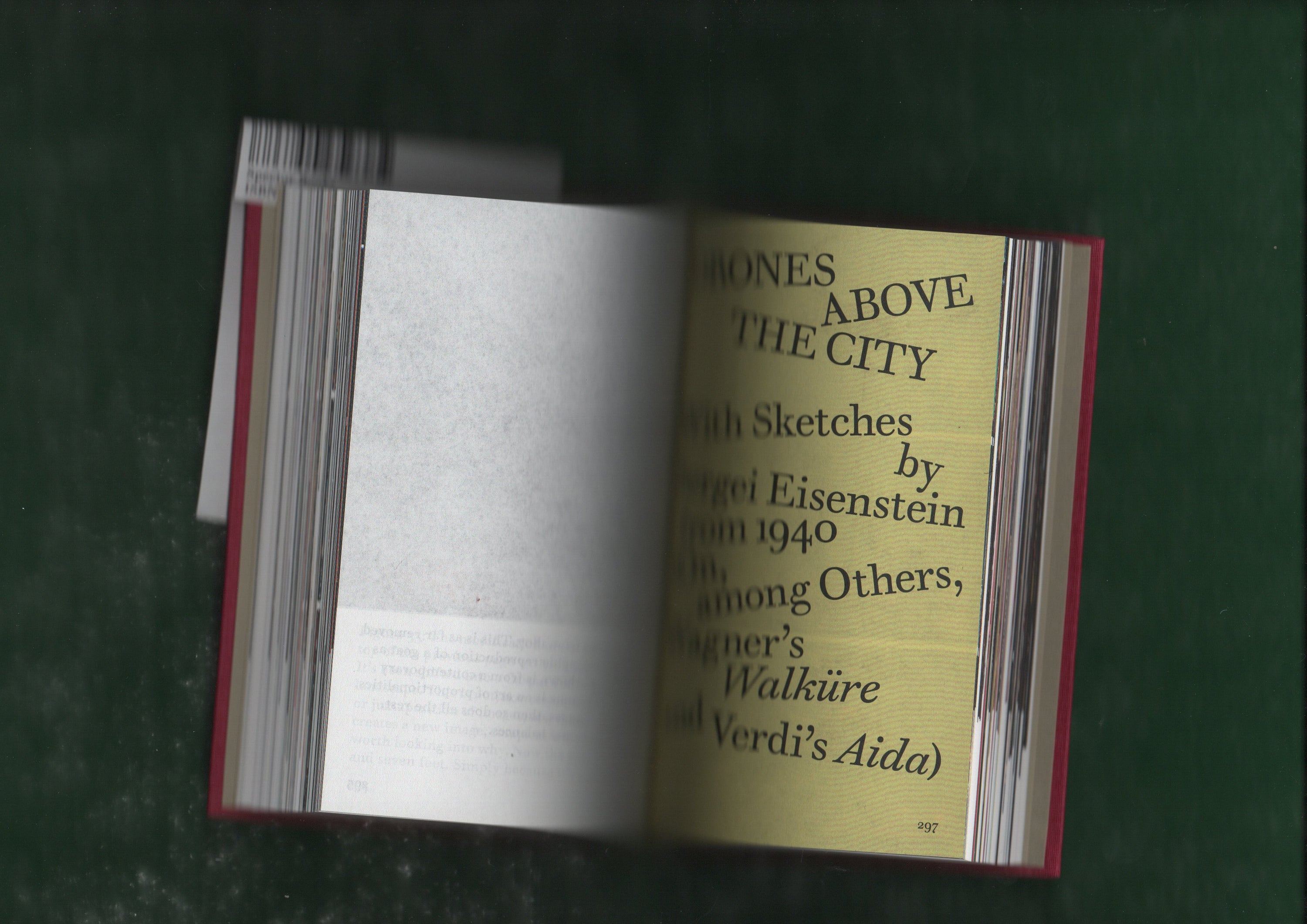 The Dragonfly’s Eye: My Virtual Camera (AI)