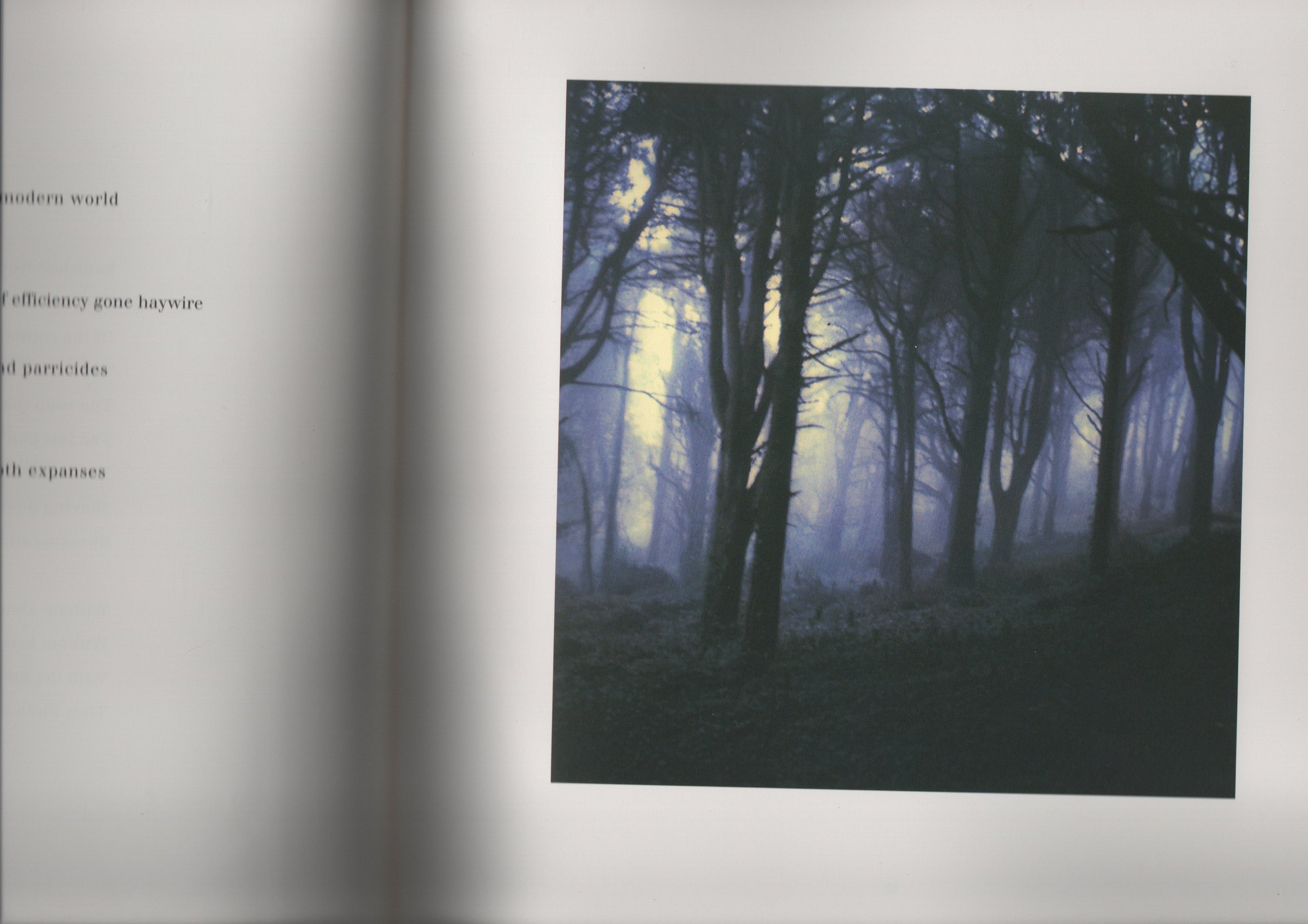 Ilhas / Islands: Selected Poems (1995)