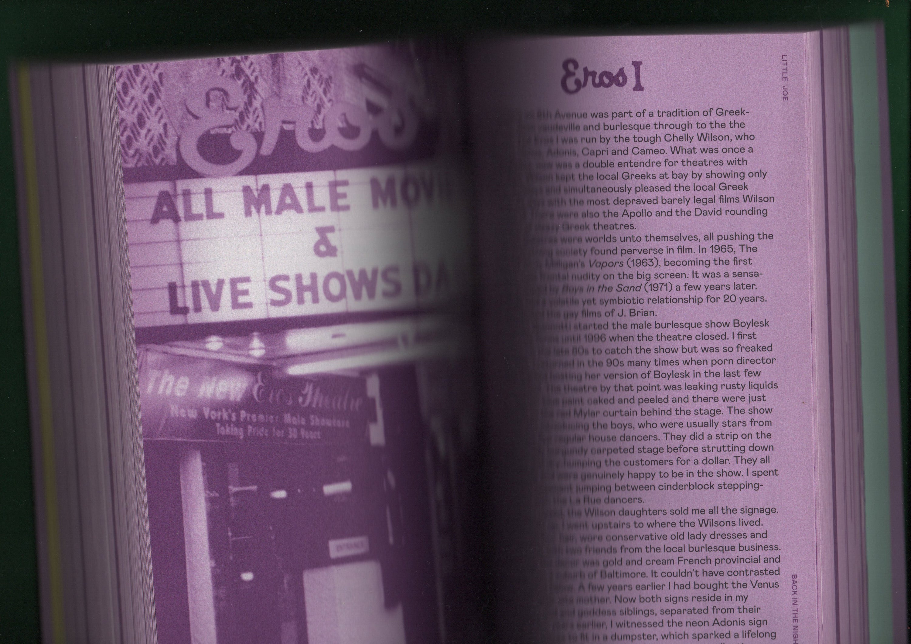 Little Joe: A book about queers and cinema, mostly
