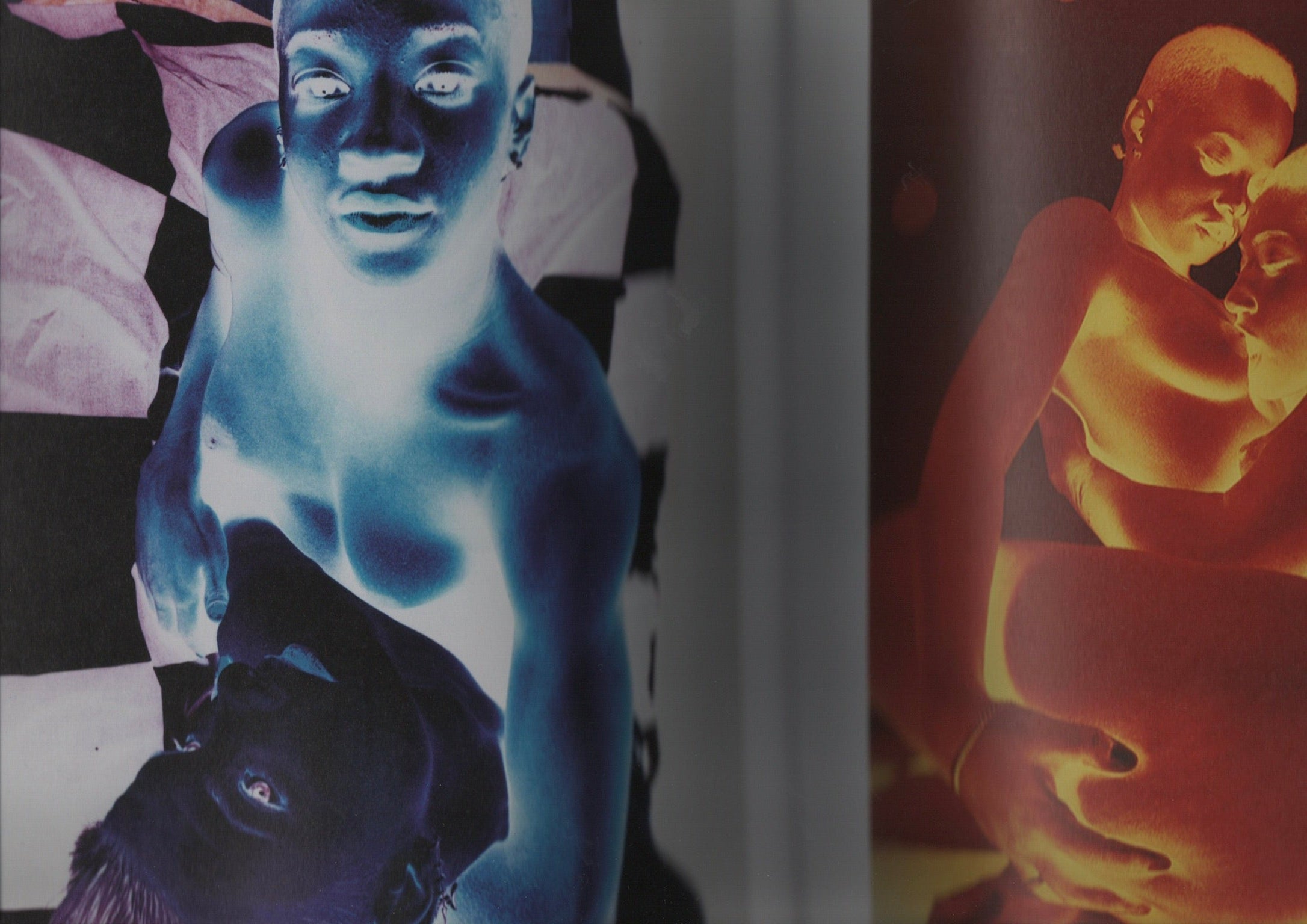Sex, Clubs, Dissent: Visualising Queer Nightlife