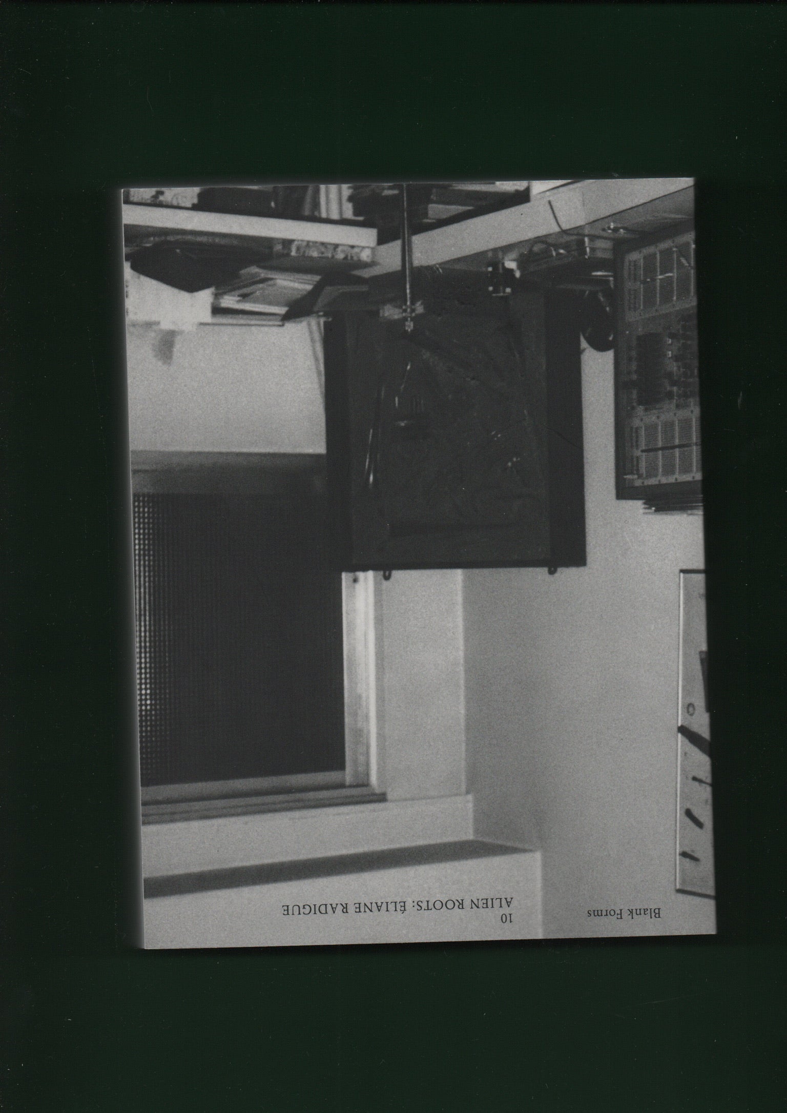 Blank Forms n° 10 - Eliane Radigue - Alien Roots