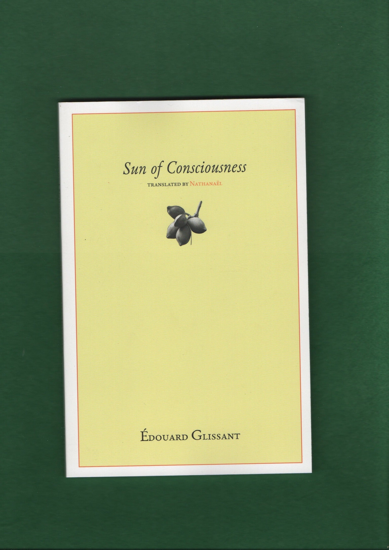 Sun of Consciousness