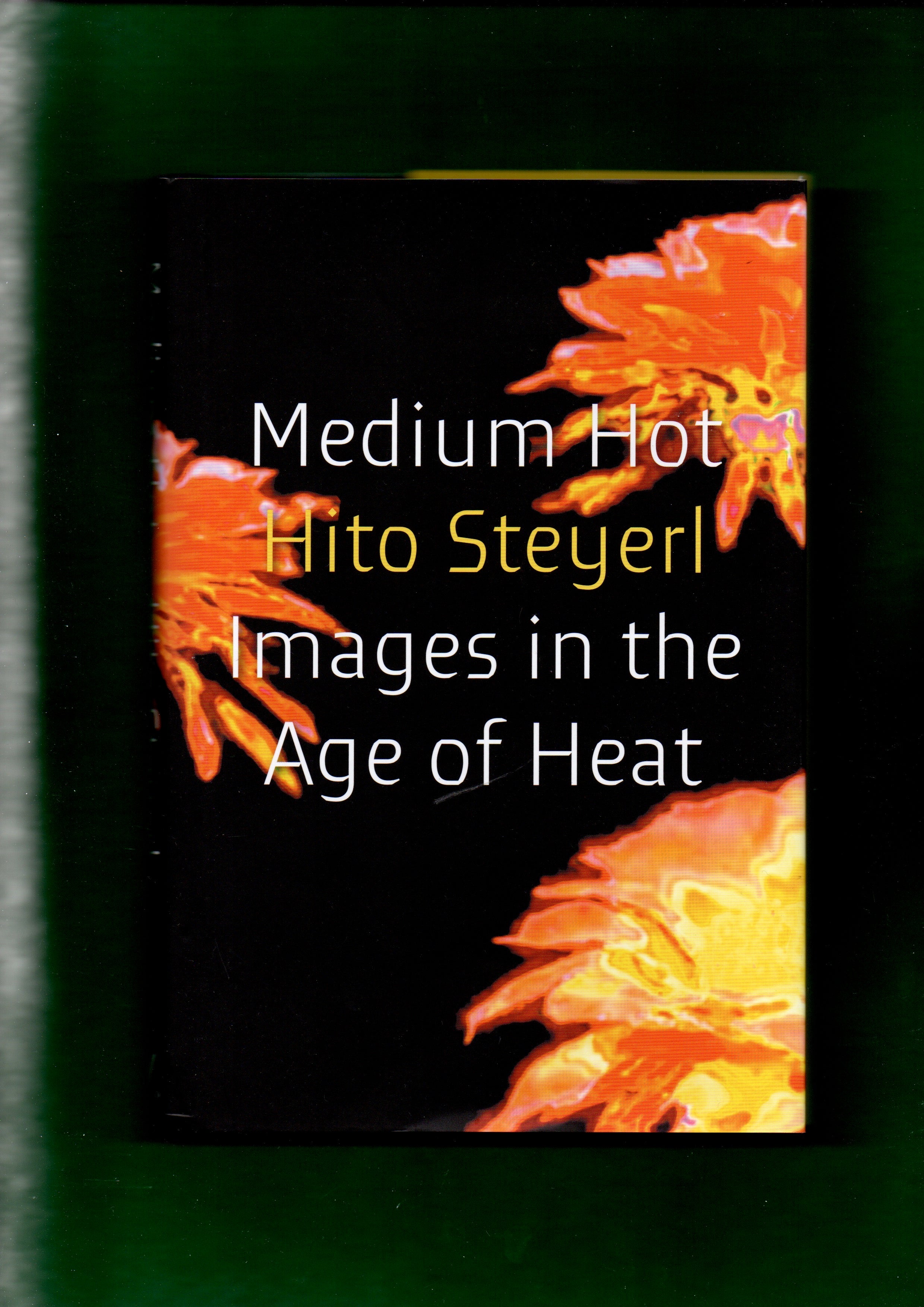 Medium Hot: Images in The Age of Heat