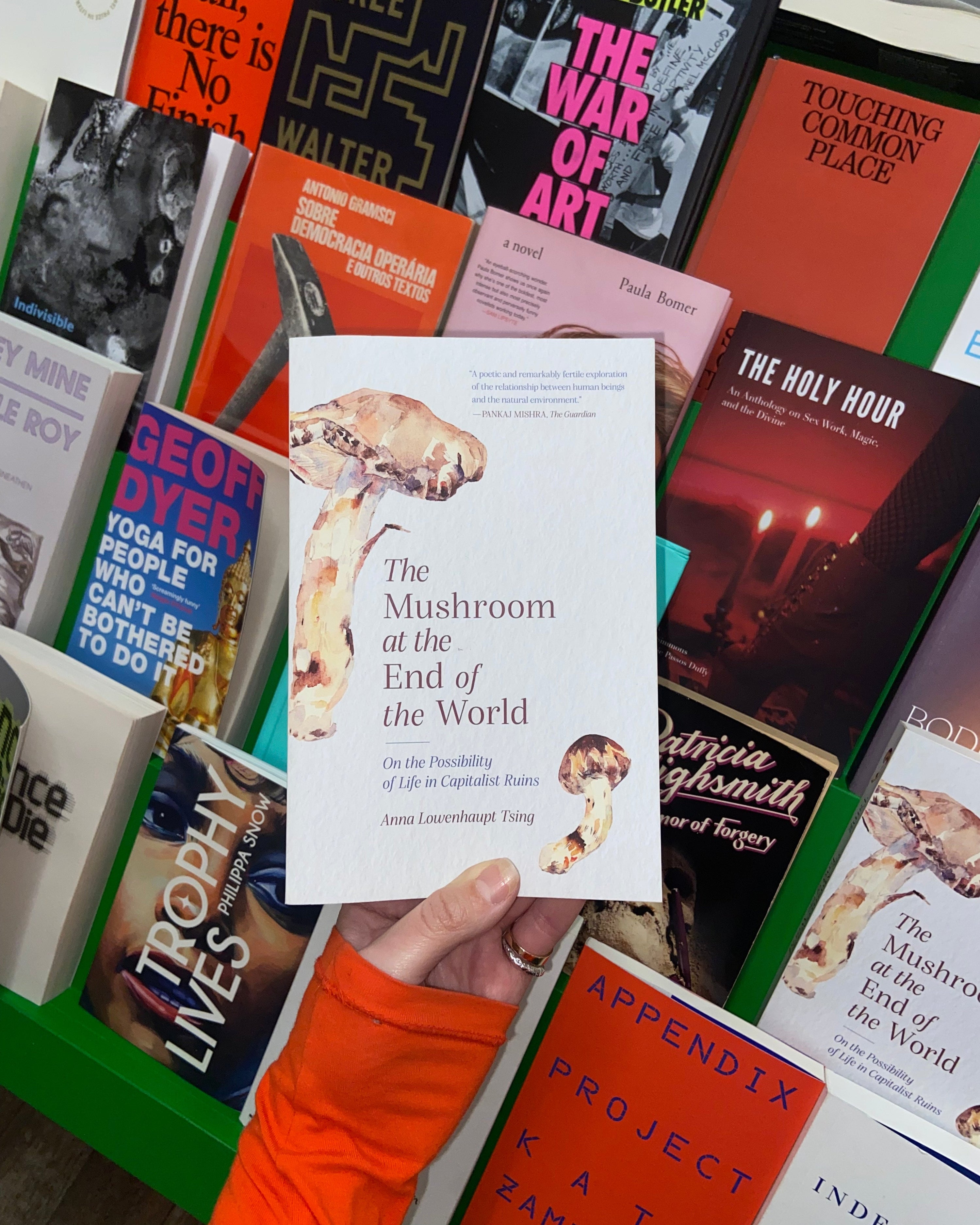 The Mushroom at the End of the World